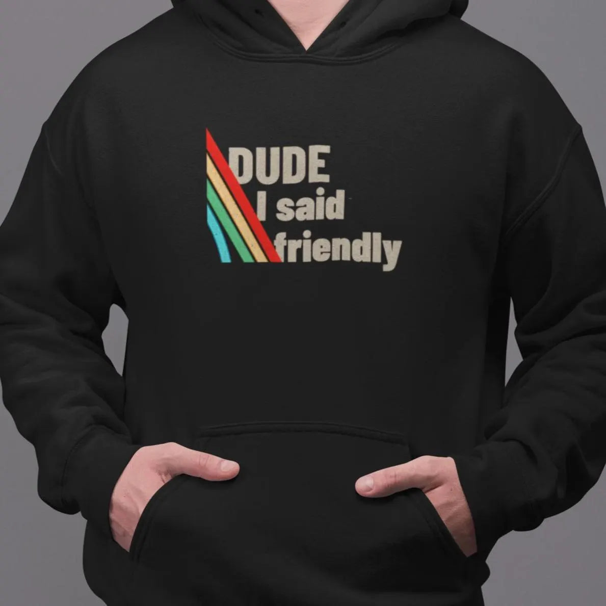 Arc Raiders Hoodie – Dude I Said Friendly | Arc Raiders Merch, Gaming Hoodie